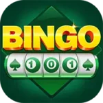 Bingo 101